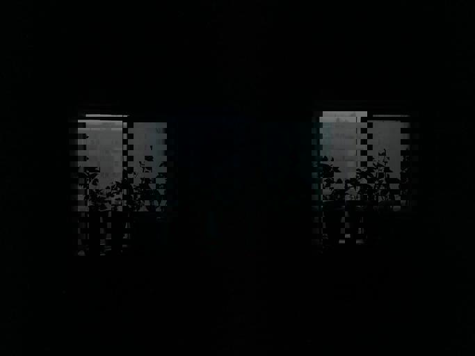 Remote Work Spurs Gardening Boom in Apartment Living Spaces